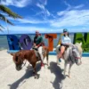 Roatan Horseback Riding Tour