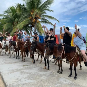 Alternative view of Roatan Horseback Riding Tour – Monkeys & Island Highlights