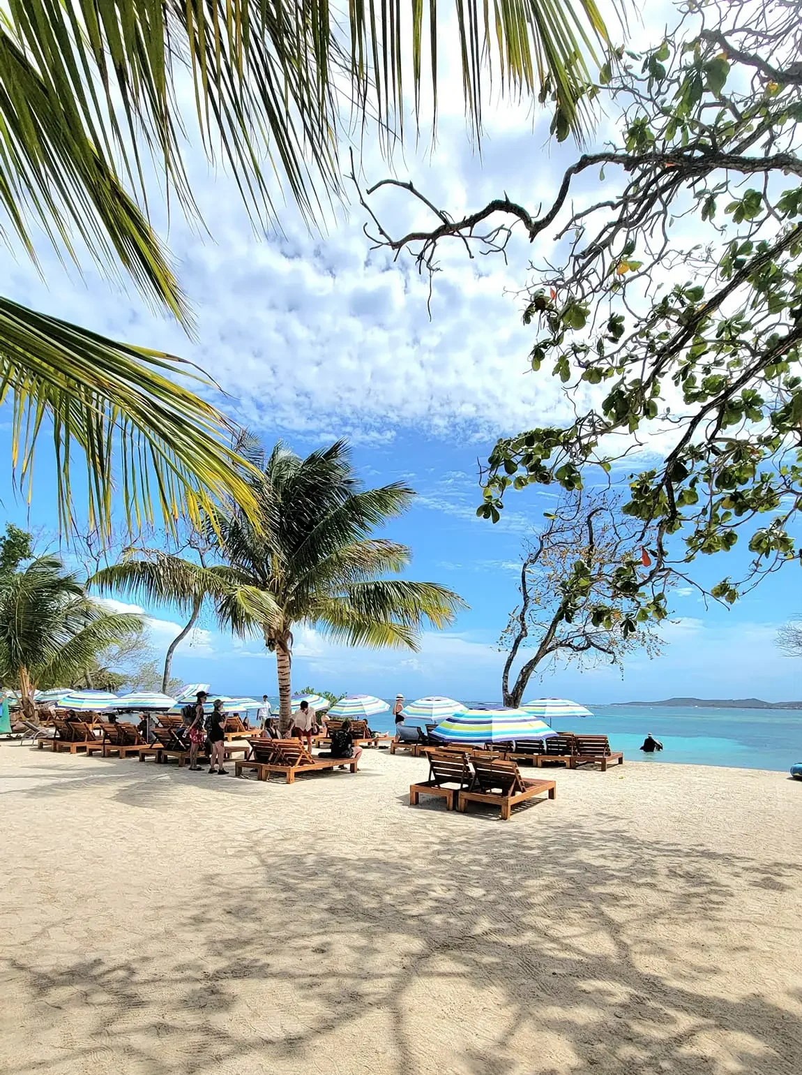 Roatan Snorkeling Tour – Two Reef Stops & Beach Break - Image 7