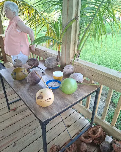 Roatan Iguana Farm Tour – Coconut Factory & Brady’s Cay Beach - Image 9