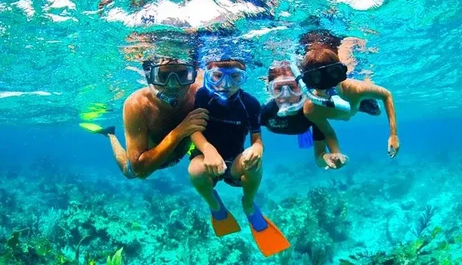 Roatan Monkeys & Snorkeling Tour – Island Highlights Adventure - Image 4